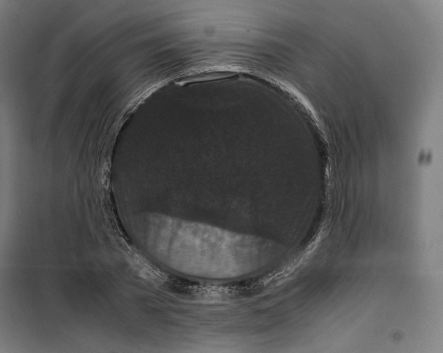 X0000099490785200806121351