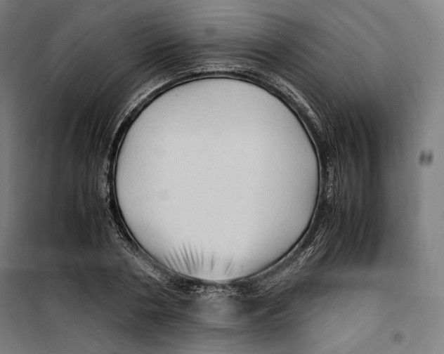 X0000099490786200806121351