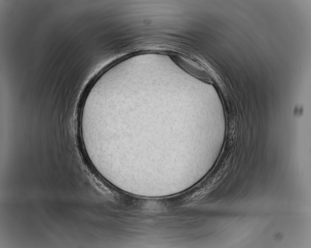 X0000099490787200806121351