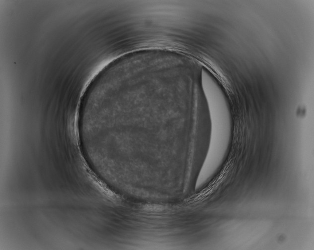 X0000099490788200806121351