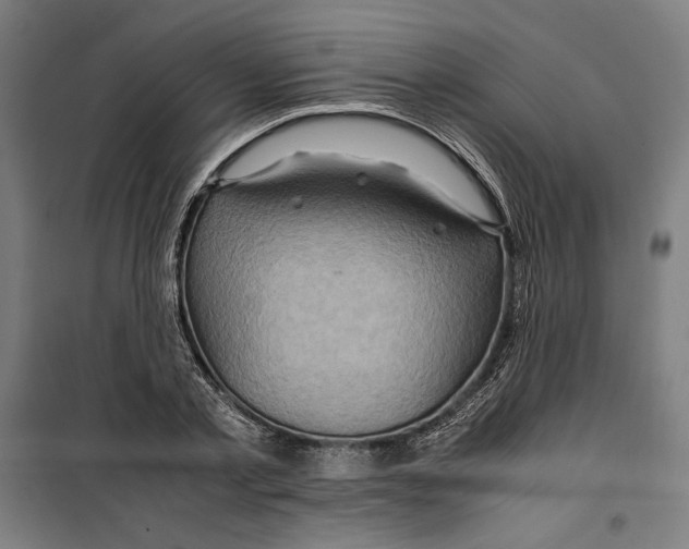 X0000099490789200806121351