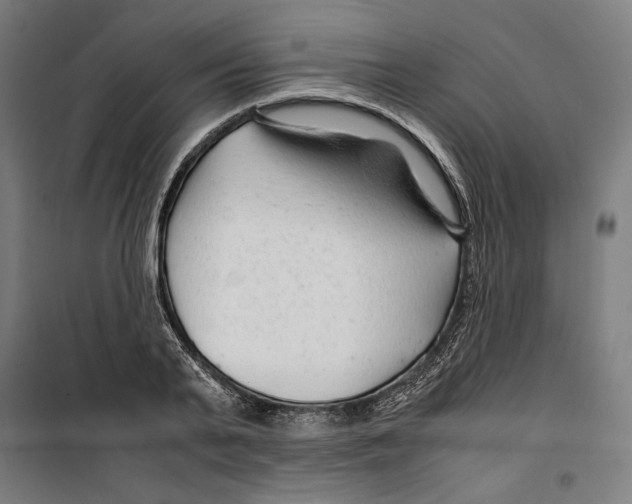 X0000099490791200806121351