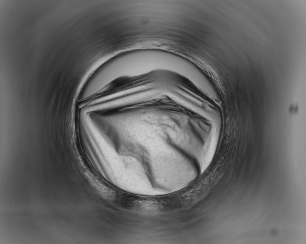 X0000099490792200806121351