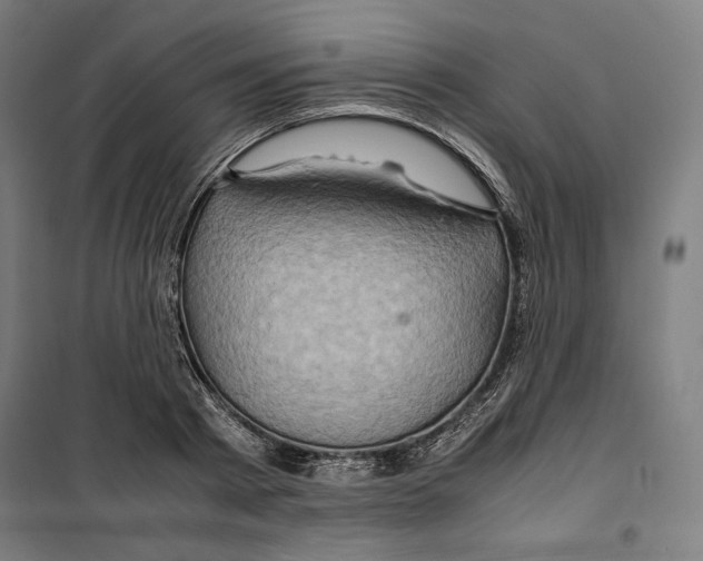 X0000099490793200806121351