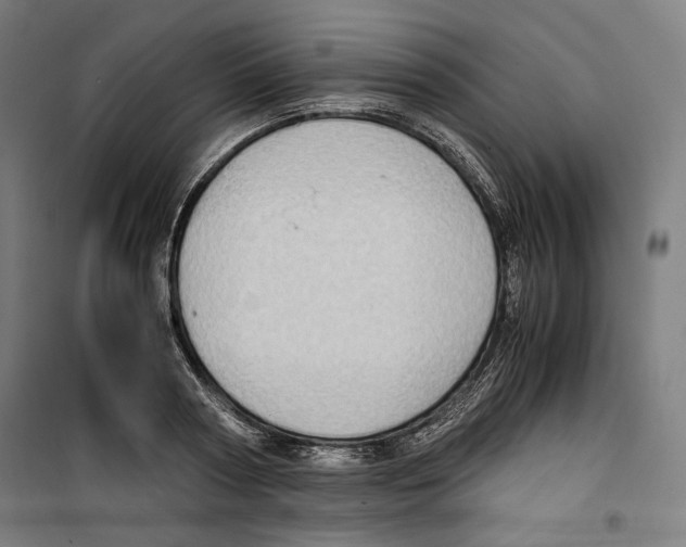 X0000099490794200806121351