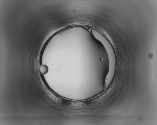 X0000099490795200806121351