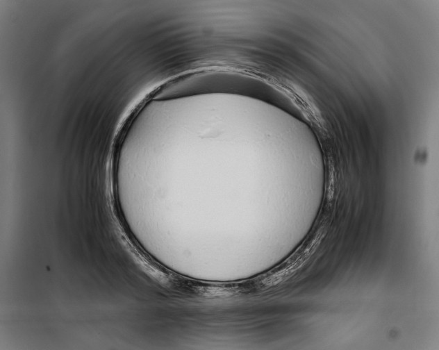 X0000099490796200806121351