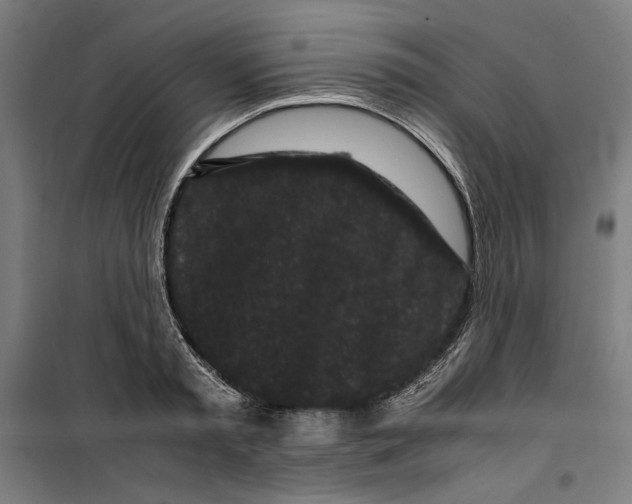 X0000099490797200806121351