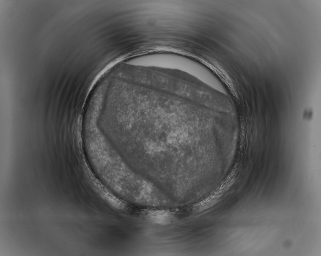 X0000099490798200806121351