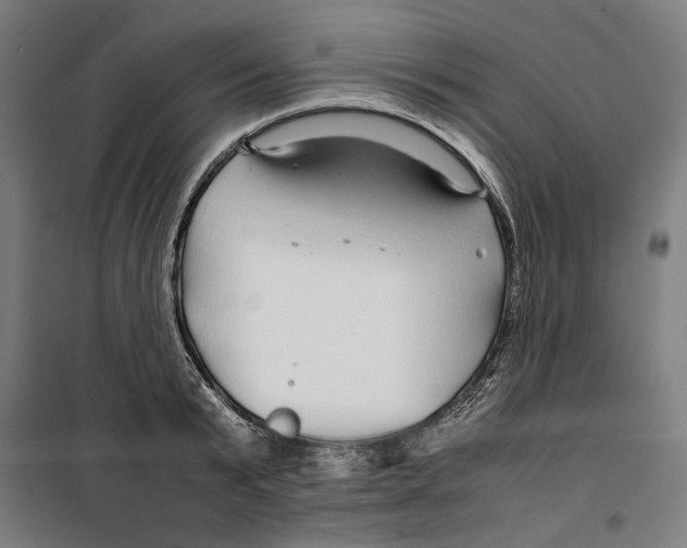 X0000099490799200806121351