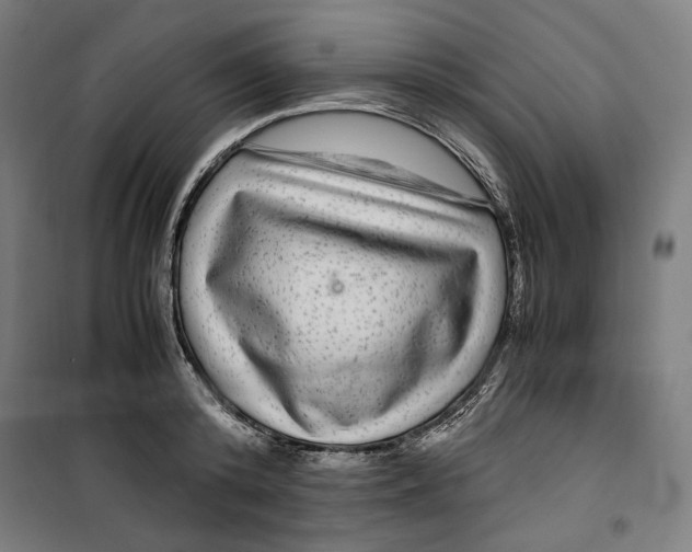 X0000099490800200806121351