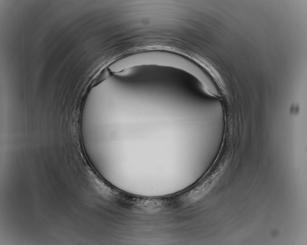 X0000099490801200806121351