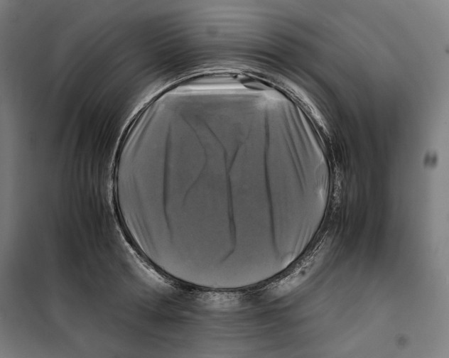 X0000099490802200806121351