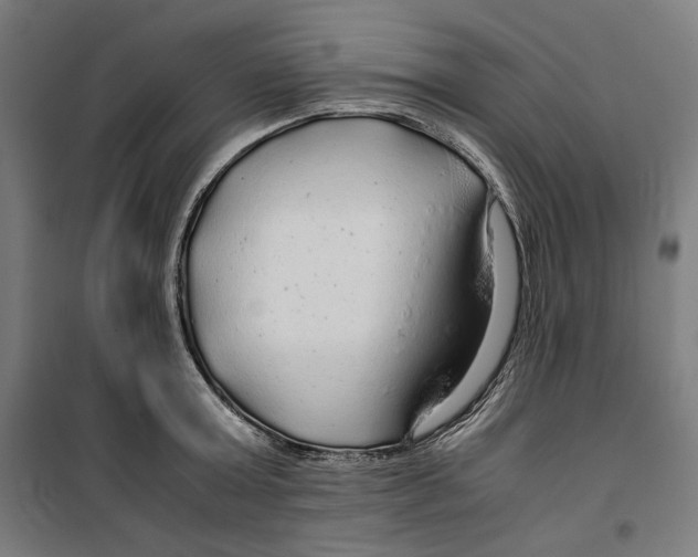 X0000099490803200806121351