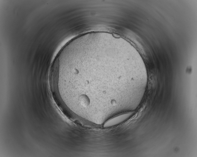 X0000099490804200806121351