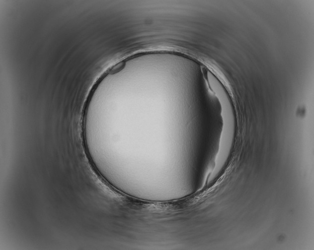 X0000099490805200806121351