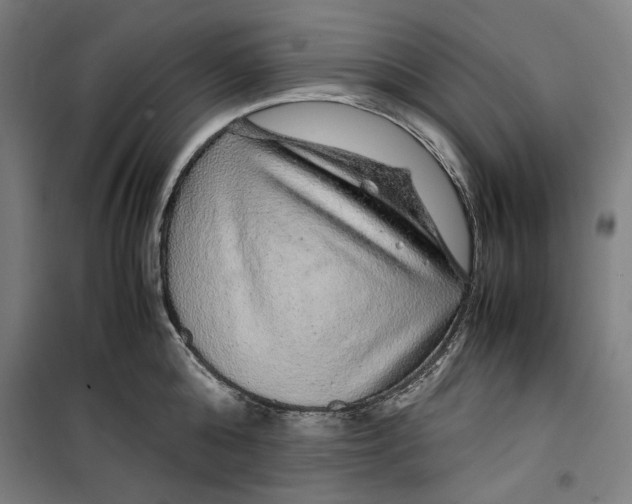 X0000099490808200806121351