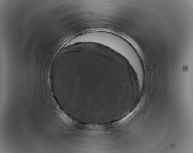 X0000099490809200806121351