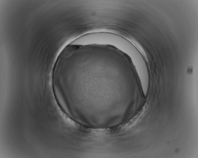 X0000099490813200806121351