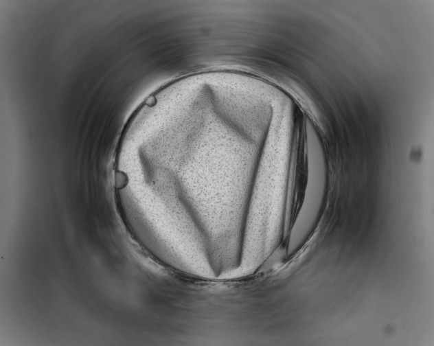 X0000099490814200806121351