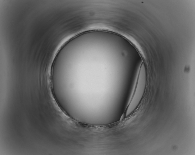 X0000099490815200806121351