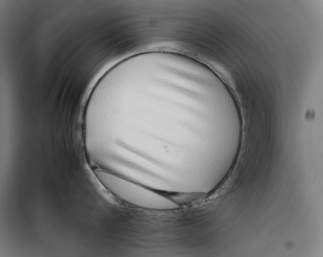 X0000099490816200806121351