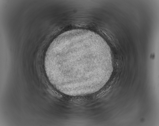 X0000099490817200806121350