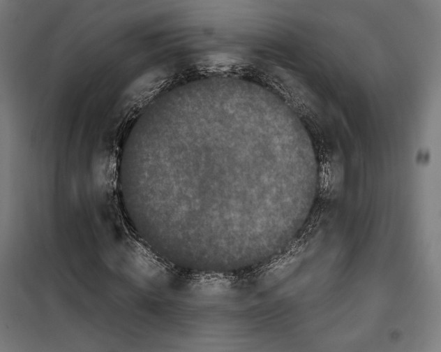 X0000099490820200806121350