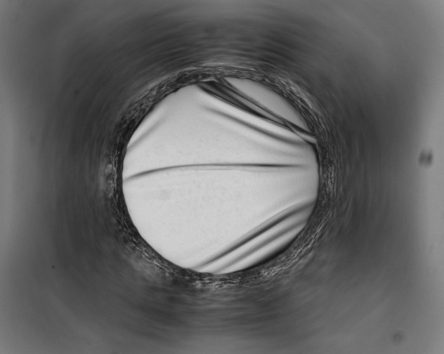 X0000099490821200806121350