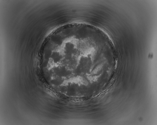 X0000099490823200806121350