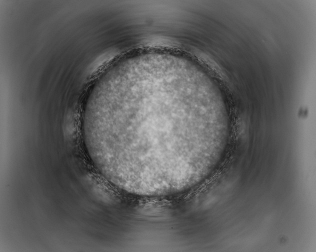 X0000099490824200806121350