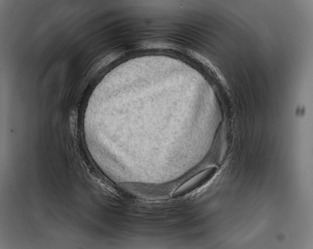 X0000099490825200806121350