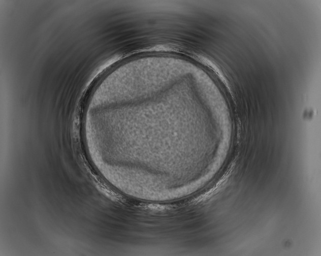 X0000099490827200806121350