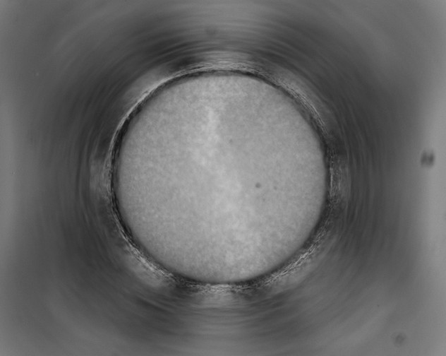 X0000099490828200806121350