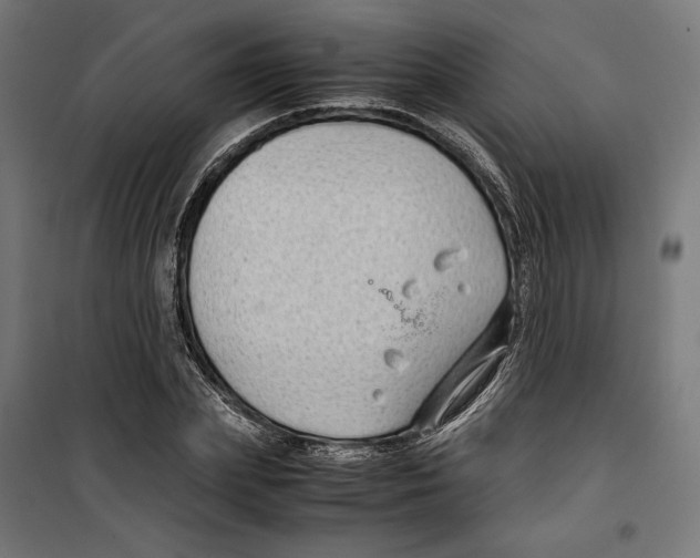 X0000099490831200806121350