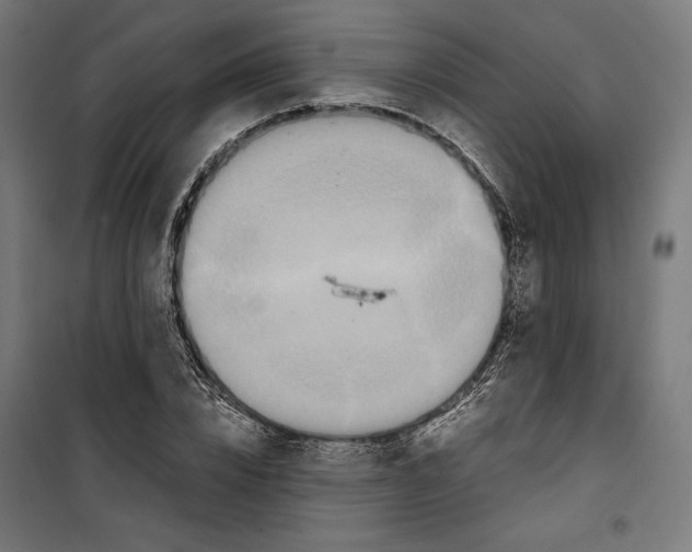 X0000099490832200806121350