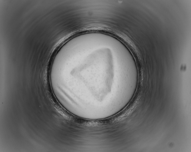 X0000099490834200806121350