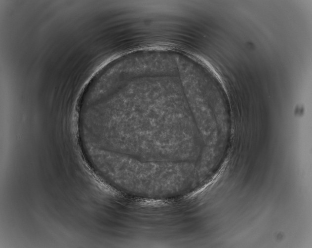 X0000099490835200806121350