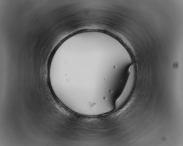 X0000099490837200806121350