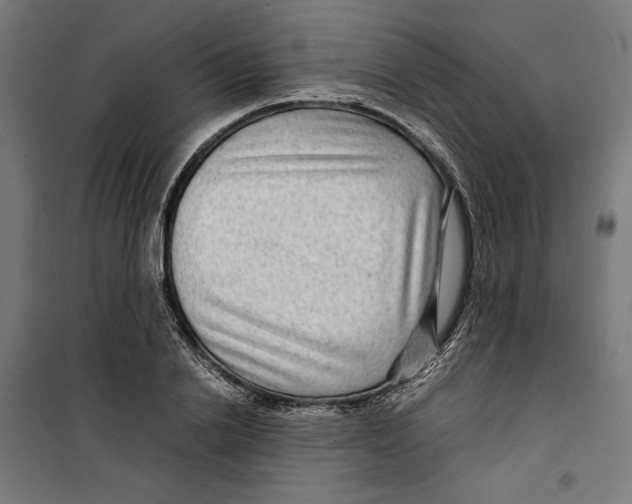 X0000099490838200806121350