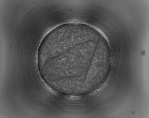 X0000099490839200806121350