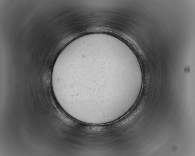 X0000099490841200806121350