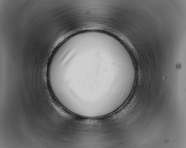 X0000099490842200806121350