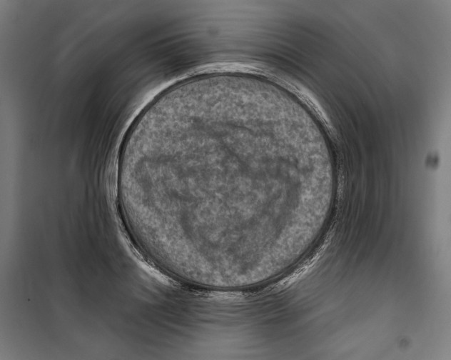 X0000099490844200806121350