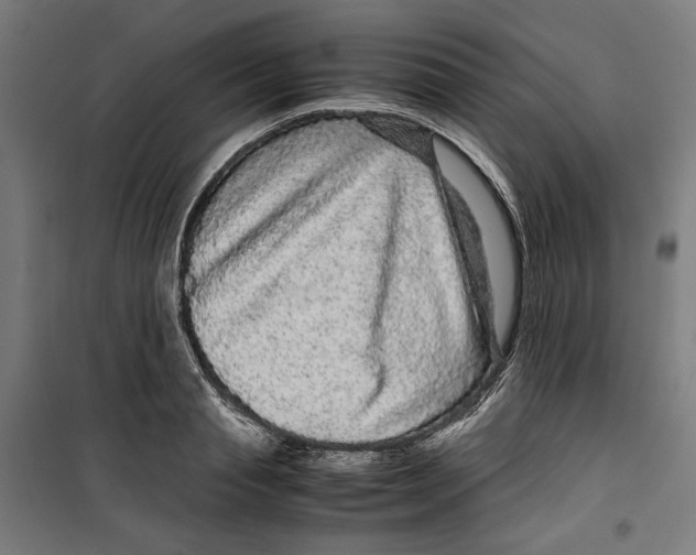 X0000099490845200806121350