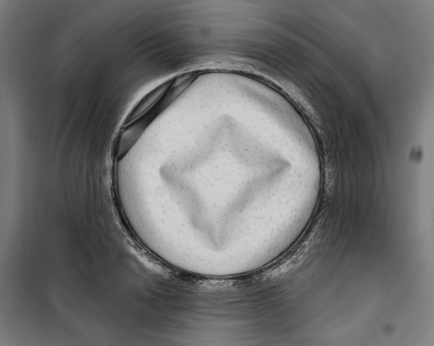 X0000099490846200806121350