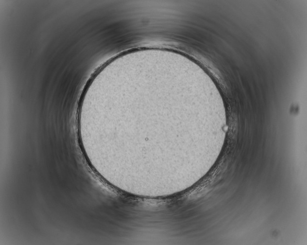 X0000099490848200806121350