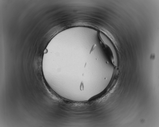 X0000099490849200806121350