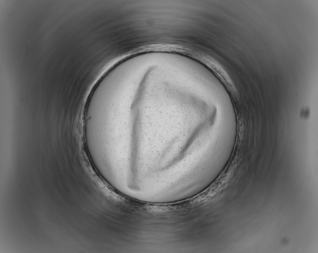 X0000099490852200806121350