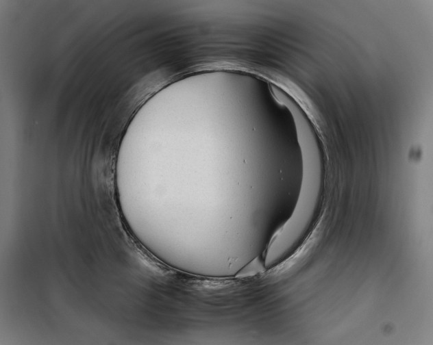 X0000099490857200806121351